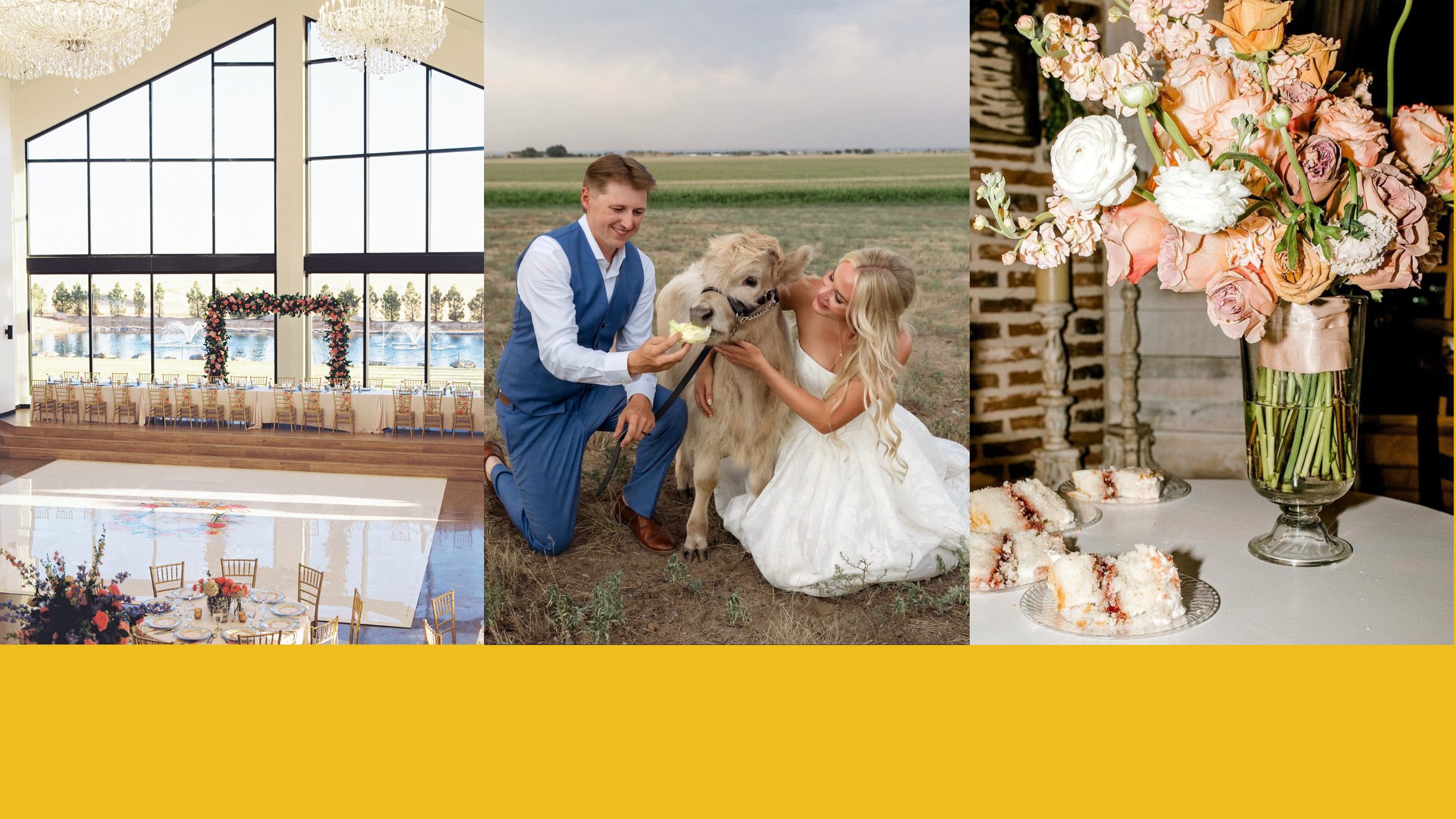 Wedding photos